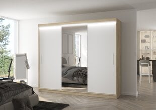 Шкаф ADRK Furniture со светодиодной подсветкой Denis 250, белый цвет/песочный цена и информация | Шкафы | kaup24.ee