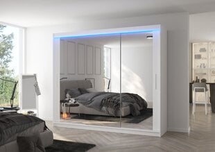Шкаф ADRK Furniture со светодиодной подсветкой Chester 250, белый цвет цена и информация | Шкафы | kaup24.ee