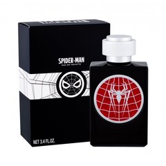 Tualettvesi poistele Marvel Spiderman EDT 100 ml hind ja info | Laste parfüümid | kaup24.ee