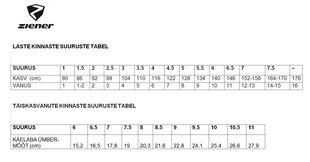 Mäesuusakindad lastele Ziener Loriko 801993-12-7.5 hind ja info | Poiste mütsid, sallid, kindad | kaup24.ee