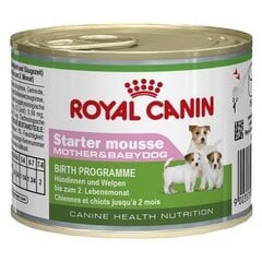 Royal Canin kasvavatele kutsikatele Starter mousse, 195 g цена и информация | Консервы для собак | kaup24.ee