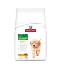 Hill's Science Plan Puppy Healthy Development Large Breed kuivtoit kutsikatele kanaga, 14.5 kg hind ja info | Kuivtoit koertele | kaup24.ee