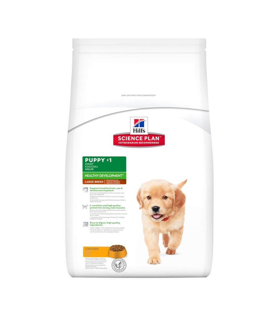 Hill's Science Plan Puppy Healthy Development Large Breed kuivtoit kutsikatele kanaga, 14.5 kg цена и информация | Kuivtoit koertele | kaup24.ee