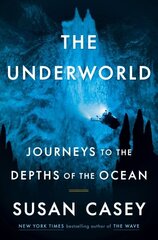 The Underworld: Journeys to the Depths of the Ocean hind ja info | Majandusalased raamatud | kaup24.ee