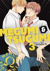 Megumi & Tsugumi, Vol. 3 цена и информация | Фантастика, фэнтези | kaup24.ee
