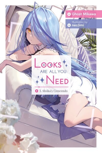 Looks Are All You Need, Vol. 1(New edition) цена и информация | Fantaasia, müstika | kaup24.ee