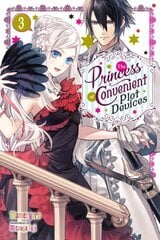 Princess of Convenient Plot Devices, Vol. 3 (light novel) hind ja info | Noortekirjandus | kaup24.ee