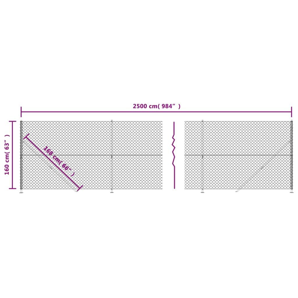 vidaXL võrkaed äärikuga, hõbedane, 1,6 x 25 m hind ja info | Aiad ja tarvikud | kaup24.ee
