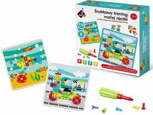 Мозаика с отверткой цена и информация | Развивающие игрушки | kaup24.ee