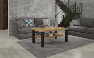 Журнальный столик ADRK Furniture Sven, 115x65см, коричневый/черный цвет цена и информация | Журнальные столики | kaup24.ee