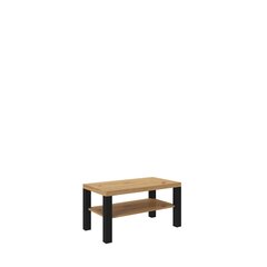 Журнальный столик ADRK Furniture Gomez, 100x55см, коричневый/черный цвет цена и информация | Журнальные столики | kaup24.ee