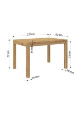 Журнальный столик ADRK Furniture Olaf 2, 120x80см, светло-коричневый цвет цена и информация | Журнальные столики | kaup24.ee