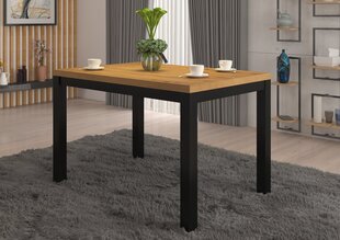 Журнальный столик ADRK Furniture Olaf 2, 120x80см, коричневый/черный цвет цена и информация | Журнальные столики | kaup24.ee