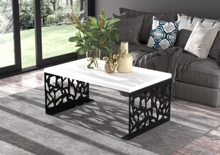 Журнальный столик ADRK Furniture Semara 100х60см, белый/черный цвет цена и информация | Журнальные столики | kaup24.ee