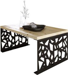 Журнальный столик ADRK Furniture Semara 100x60см, коричневый/черный цвет цена и информация | Журнальные столики | kaup24.ee