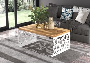 Журнальный столик ADRK Furniture Semara 100х60см, коричневый/белый цвет цена и информация | Журнальные столики | kaup24.ee