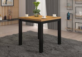 Журнальный столик ADRK Furniture Olaf 1, 80x80см, коричневый/черный цвет цена и информация | Журнальные столики | kaup24.ee