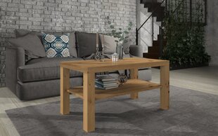 Журнальный столик ADRK Furniture Gomez, 100x55см, коричневый цвет цена и информация | Журнальные столики | kaup24.ee