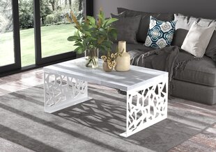 Журнальный столик ADRK Furniture Semara 100x60см, серый/белый цвет цена и информация | Журнальные столики | kaup24.ee