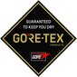 Ziener Gore-Tex lumelauakindad MARE+ GORE EXTRA WARM 801706-937-9.5 цена и информация | Meeste sallid, mütsid ja kindad | kaup24.ee