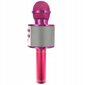Laste karaokemikrofon kõlariga, roosa цена и информация | Arendavad mänguasjad | kaup24.ee