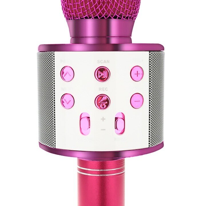 Laste karaokemikrofon kõlariga, roosa цена и информация | Arendavad mänguasjad | kaup24.ee