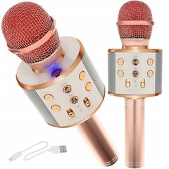 Laste karaokemikrofon kõlariga, virsik цена и информация | Развивающие игрушки | kaup24.ee
