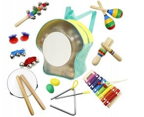 Instrumentide komplekt lastele Ecotoys 1024 цена и информация | Развивающие игрушки и игры | kaup24.ee