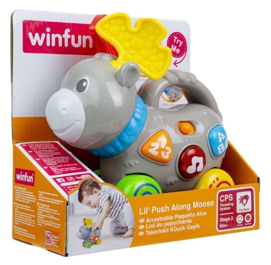 Interaktiivne mänguasi Winfun Moose hind ja info | Imikute mänguasjad | kaup24.ee