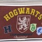 Harry Potteri pinal цена и информация | Pinalid | kaup24.ee