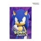 Sonic Hedgehogi koolikomplekt цена и информация | Kunstitarbed, voolimise tarvikud | kaup24.ee