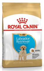 Royal Canin väikestele Labradori retriiveritele, 12kg hind ja info | Kuivtoit koertele | kaup24.ee
