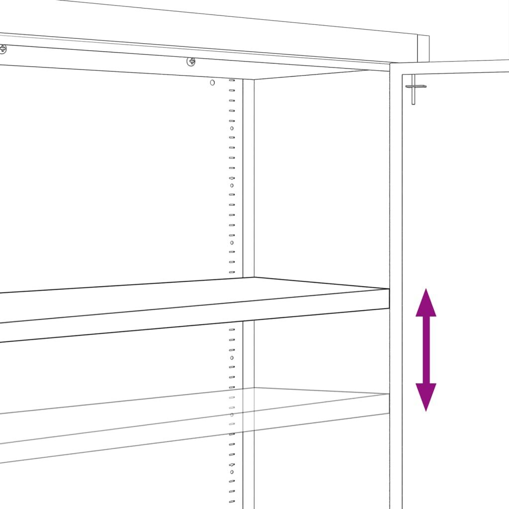 vidaXL dokumendikapp, valge, 90 x 40 x 180 cm, teras цена и информация | Kapid | kaup24.ee