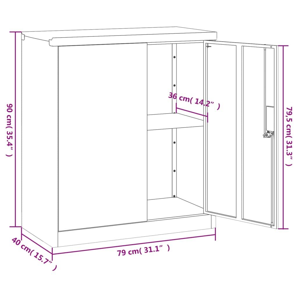 vidaXL dokumendikapp, antratsiithall, 79 x 40 x 90 cm, teras hind ja info | Kapid | kaup24.ee