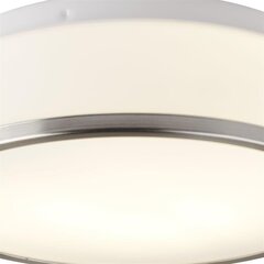 Searchlight laelamp CHEESE 7039-28SS цена и информация | Потолочные светильники | kaup24.ee