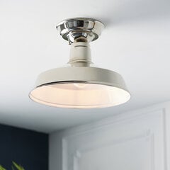 Endon laelamp Darton 96181 цена и информация | Потолочные светильники | kaup24.ee