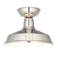Endon потолочная лампа Darton 96181 цена и информация | Потолочные светильники | kaup24.ee
