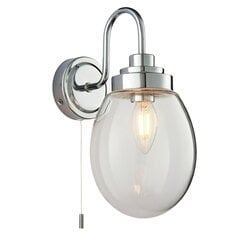 Endon настенный светильник  для ванны Hampton 76304 цена и информация | Настенный светильник Конусы | kaup24.ee