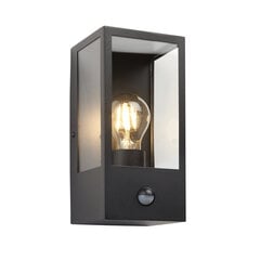 Endon Уличный светильник с датчиком Oxford 94995 цена и информация | Уличное освещение | kaup24.ee