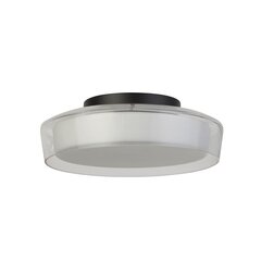 Searchlight laelamp PUCK 60961BK цена и информация | Потолочные светильники | kaup24.ee