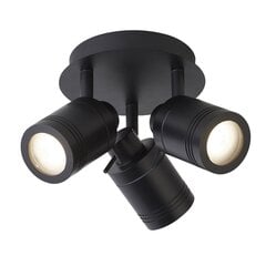 Searchlight потолочный светильник Samson 6603BK цена и информация | Потолочные светильники | kaup24.ee
