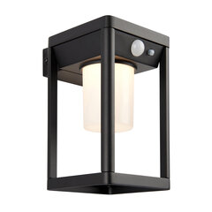 Endon Уличный светильник Hallam solar LED 96928 цена и информация | Уличное освещение | kaup24.ee