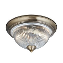 Searchlight laelamp American Diner 4370 цена и информация | Потолочные светильники | kaup24.ee