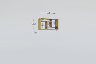 Seina riiul Garant, 86.4x25x48 cm, pruun hind ja info | Riiulid | kaup24.ee