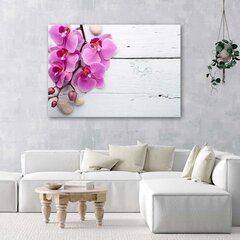 Seinapilt, Roosa orhidee ja pungad hind ja info | Seinapildid | kaup24.ee
