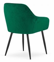 Tool Leobert Forio, roheline hind ja info | Söögilaua toolid, köögitoolid | kaup24.ee