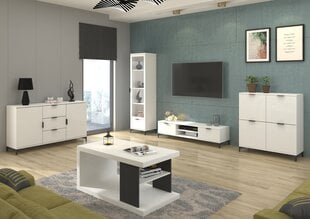 Журнальный столик ADRK Furniture Lenea, 110x60см, белый цвет цена и информация | Журнальные столики | kaup24.ee