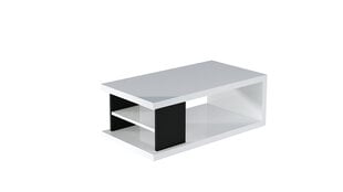 Журнальный столик ADRK Furniture Lenea, 110x60см, белый цвет цена и информация | Журнальные столики | kaup24.ee