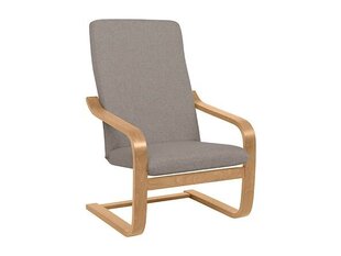 Кресло BRW Ania, серое цена и информация | Кресла в гостиную | kaup24.ee