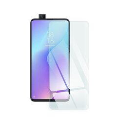 Blue Star - Xiaomi Mi 9T Pro hind ja info | Ekraani kaitsekiled | kaup24.ee